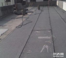 專業防水材料全攻略 守護家庭、廠房、地下室與衛生間的每一寸空間